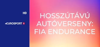 Hosszútávú autóverseny: FIA Endurance Világbajnokság, magazin