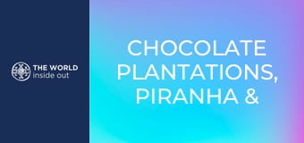 Kakaóültetvények, piranha- és krokodilvadászat. Bolívia.