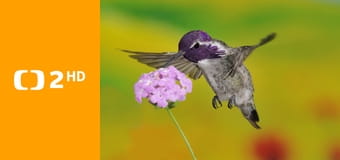 Rok na planetě Zemi E2 - Jaro