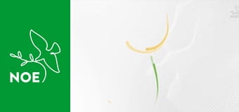 Jubilejní chrámy - Hejnice, kostel Navštívení Panny Marie