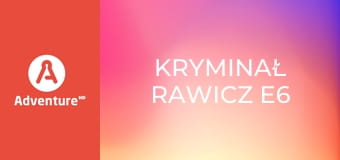 Kryminał Rawicz E6