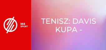 Tenisz: Davis Kupa - Elődöntő: Spanyolország – Németország