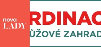 Ordinace v růžové zahradě 2 S17E46 - Chlívek nebo sklípek?