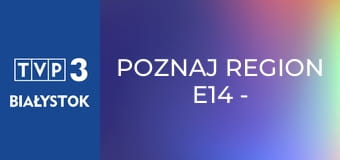 Poznaj region E14 - Zamek Świny