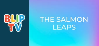 The salmon leaps The salmon leaps