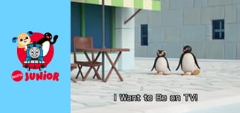 Pingu In The City Sezonul 2 Episodul 22