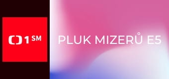 Pluk mizerů E5