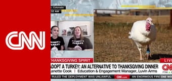 CNN Creators: The Intro