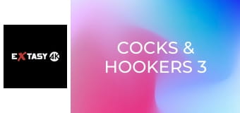 Cocks & Hookers 3
