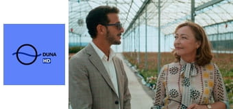 A rózsák királynője