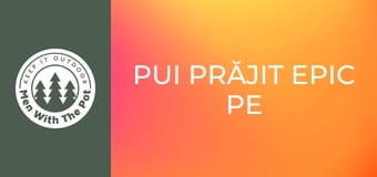 Pui Prăjit EPIC pe plită