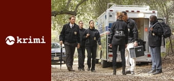 NCIS - Námorný vyšetrovací úrad S9E12 - Čistka