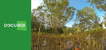 Zabójcza szybkość S1E2 - Ocean Zabójcza szybkość S1E2 - Ocean