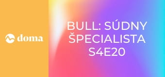 Bull: Súdny špecialista S4E20