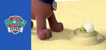 Patrula căţeluşilor Sezonul 1 Episodul 2