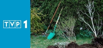 Rok w ogrodzie extra E414