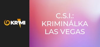 C.S.I.: Kriminálka Las Vegas S4E12 - Motýle