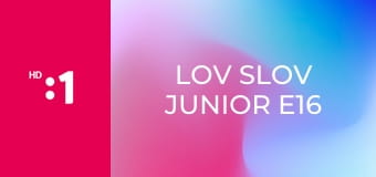 Lov slov junior E16