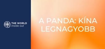 A panda: Kína legnagyobb kincse. Élet egy hegyi faluban. Kína.