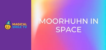 Moorhuhn in Space Moorhuhn in Space