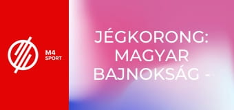 Jégkorong: Magyar Bajnokság - Budapest Jégkorong Akadémia HC – DEAC döntő 2. mérkőzés