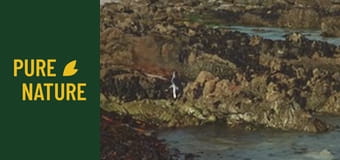 Păsările uimitoare din Africa - partea 1