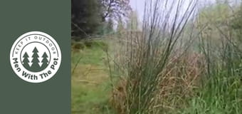 Сандвич с големи говежди кюфтета