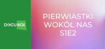 Pierwiastki wokół nas S1E2 - Srebro, wodór, fosfor, german, siarka