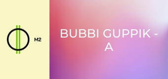 Bubbi Guppik - A cowboy felvonulás