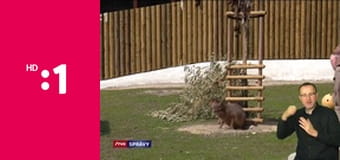 Góly-body-sekundy E80