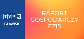Raport gospodarczy E215