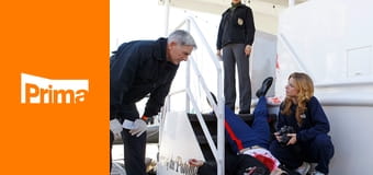 Námořní vyšetřovací služba S8E23 - Labutí píseň