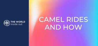 Tevegelés és a mongolok titka – hogyan élik túl a hideget? Kína.