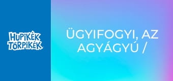 Ügyifogyi, az agyágyú / A jó vendég