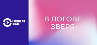 Реальное кино. Д/ф "В логове зверя".