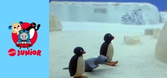 Pingu Sezonul 1 Episodul 11