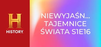 Niewyjaśnione tajemnice świata S1E16 - Niezwykłe zdolności zwierząt