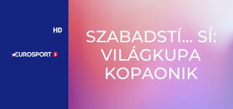Szabadstílusú sí: Világkupa Kopaonik férfi és női verseny - Síkrossz