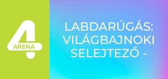 Labdarúgás: Világbajnoki selejtező - Csehország – Dánia