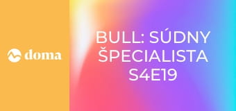 Bull: Súdny špecialista S4E19