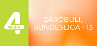 ZáróBuLi, Bundesliga - 13. forduló, összefoglaló műsor