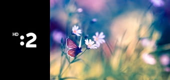 Príroda E5 - Mrazom spútaná, snehom prikrytá...