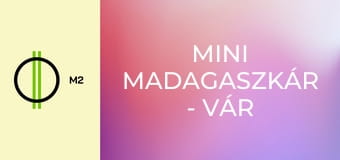 Mini Madagaszkár - Vár a nagyvilág - A titkos játszótér felfedezése