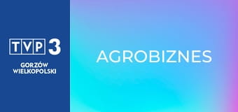 Agrobiznes