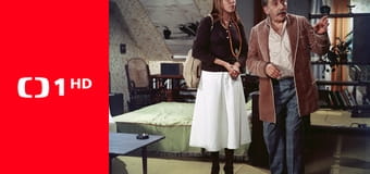 Vdovcovy intimní večery