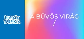 A bűvös virág / Apáknapi ajándék