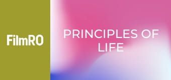 Principii de viață