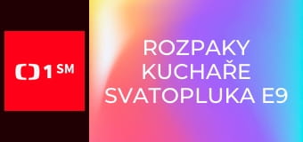 Rozpaky kuchaře Svatopluka E9 - Sporák