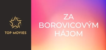 Za borovicovým hájom