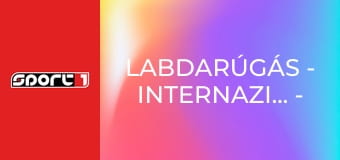 Labdarúgás - Internazionale - Bayern München